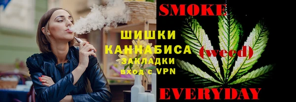 стаф Новозыбков