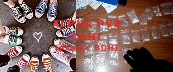 стаф Новозыбков