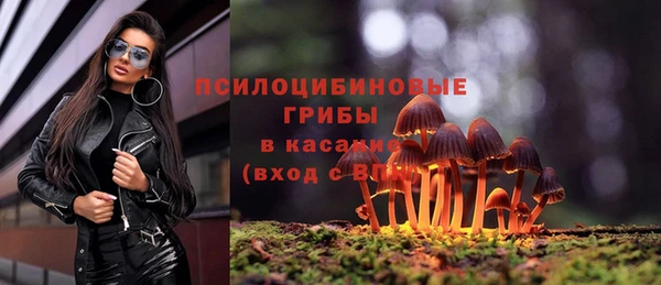 mix Новодвинск
