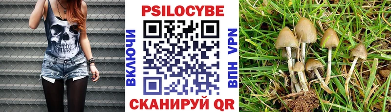 Псилоцибиновые грибы MAGIC MUSHROOMS  как найти наркотики  Вологда 