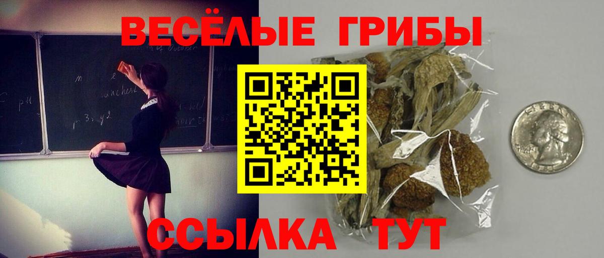 Псилоцибиновые грибы мухоморы Вологда