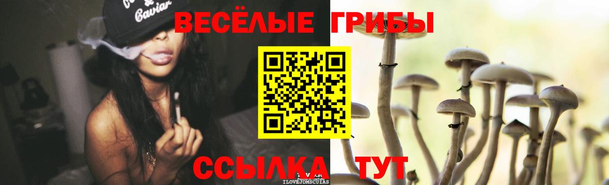 Вологда  Галлюциногенные грибы мухоморы  Вход с VPN 